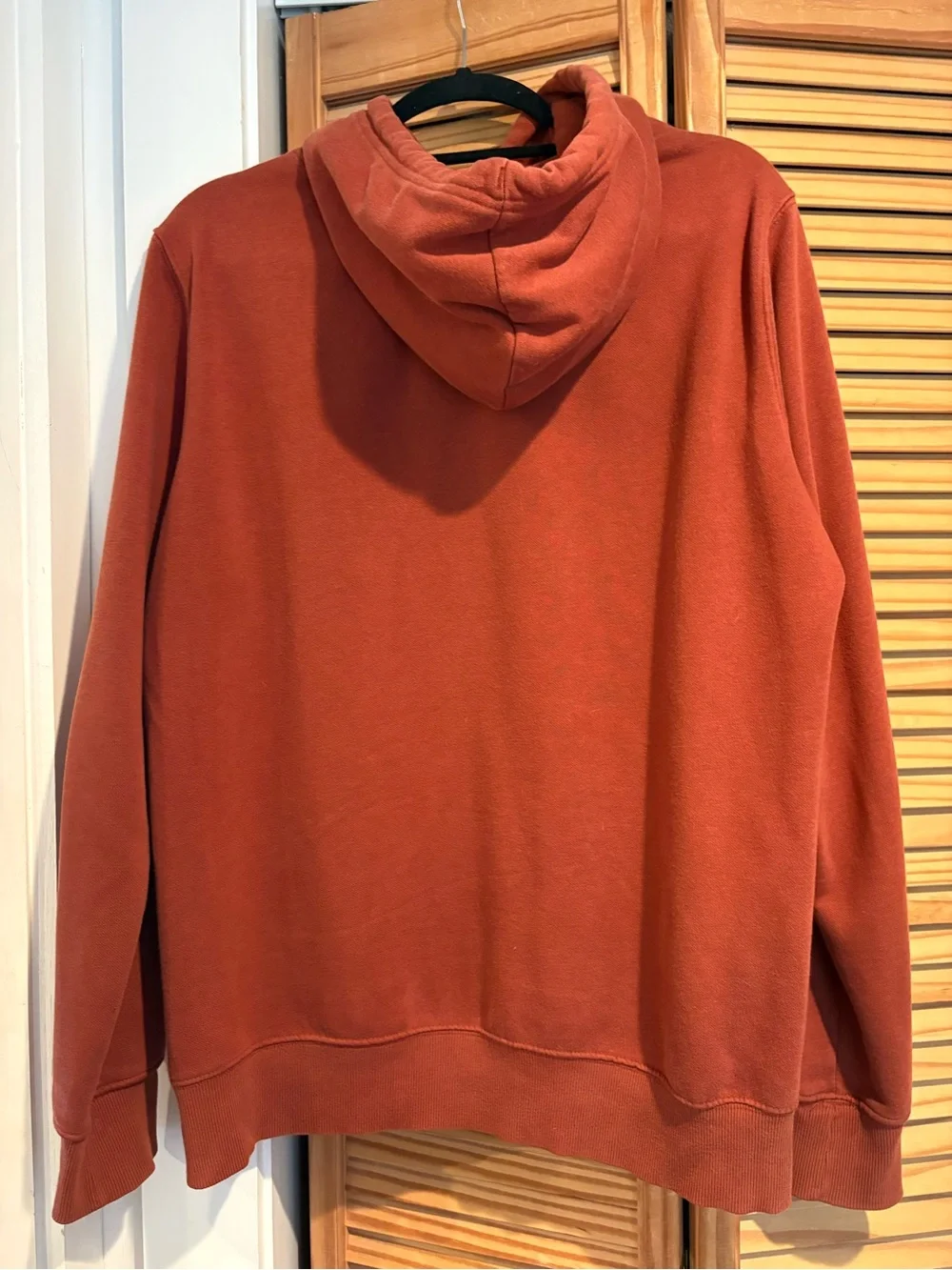 The North Face Men's Half Dome Pullover Hoodie Burnt Orange Rust Large Gorpcore